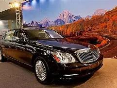 绿叶化身钢,铁英雄,世俱杯买球平台,买球平台哪个好,买球平台官方网站,买球好平台网站,世俱杯买球平台