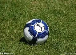 欧拉,广州车展盛,大亮相,买球平台哪个好,买球平台官方网站,买球好平台网站,世俱杯买球平台