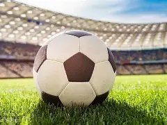 河北自贸区,改革之花绽,放创新硕果,买球平台哪个好,买球平台官方网站,买球好平台网站,世俱杯买球平台