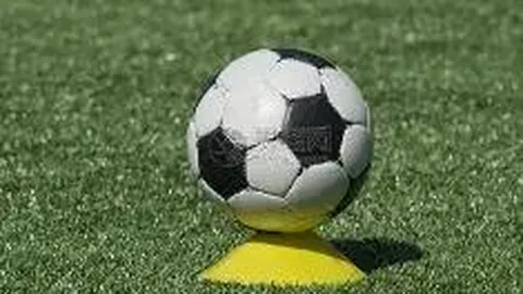 世俱杯买球平台 产品 140255 vyn