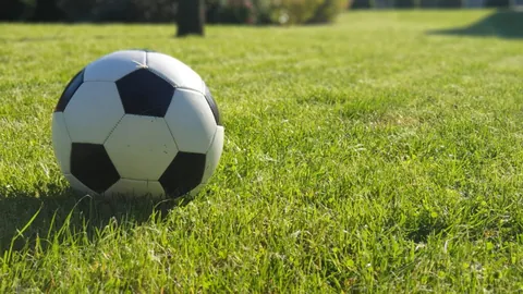 世俱杯买球平台 产品 105445 8h1