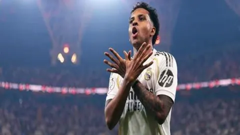 沙田郊野径探针草凹及巨石，徒步至大埔必访景点之旅