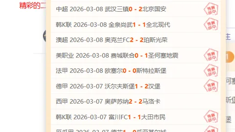 帕德博恩对决布伦瑞克：大乐透期号专家质合分析